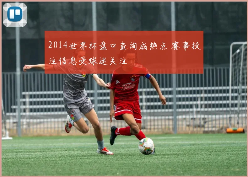 2014世界杯盘口查询成热点 赛事投注信息受球迷关注