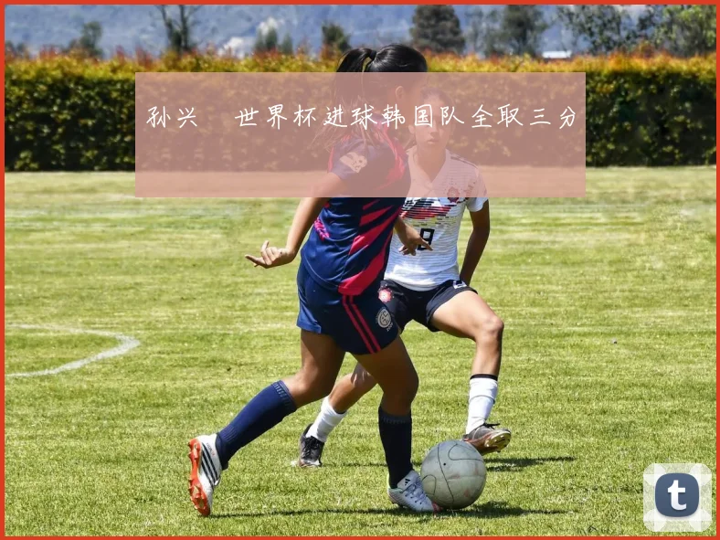 孙兴慜世界杯进球韩国队全取三分
