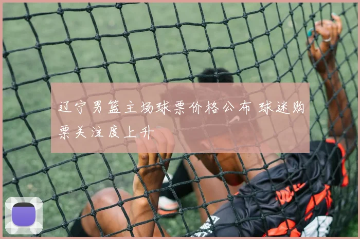 辽宁男篮主场球票价格公布 球迷购票关注度上升