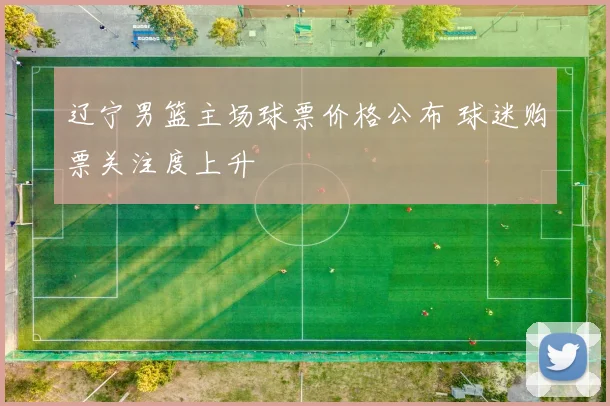 辽宁男篮主场球票价格公布 球迷购票关注度上升