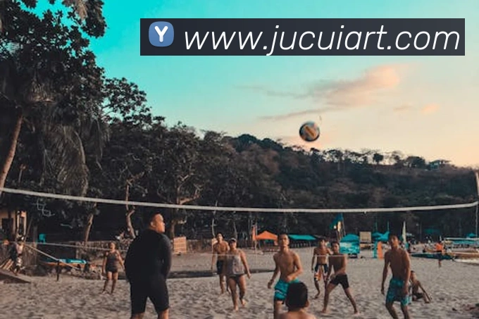 半岛官网网页版入口APP 体育赛事宣传图